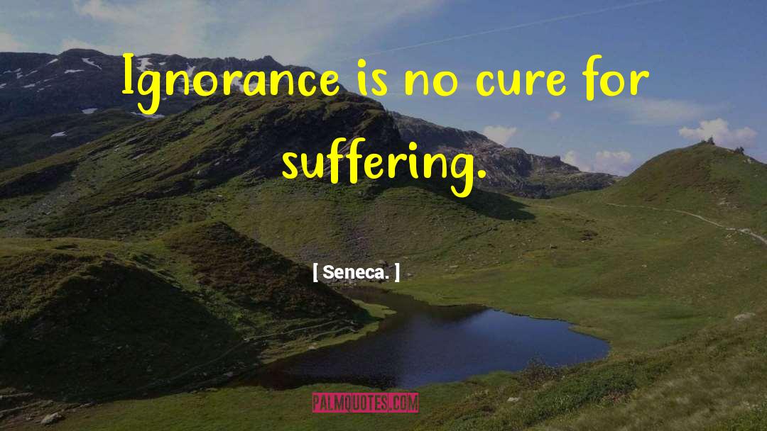 Roman Senator Seneca quotes by Seneca.