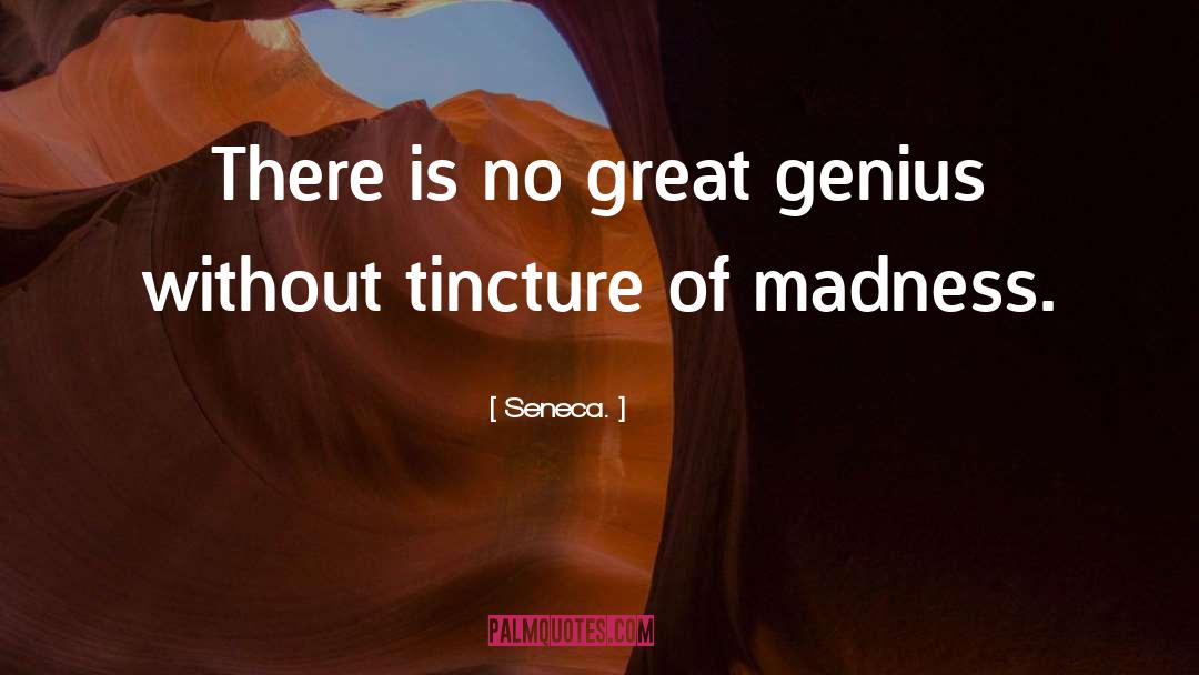 Roman Senator Seneca quotes by Seneca.