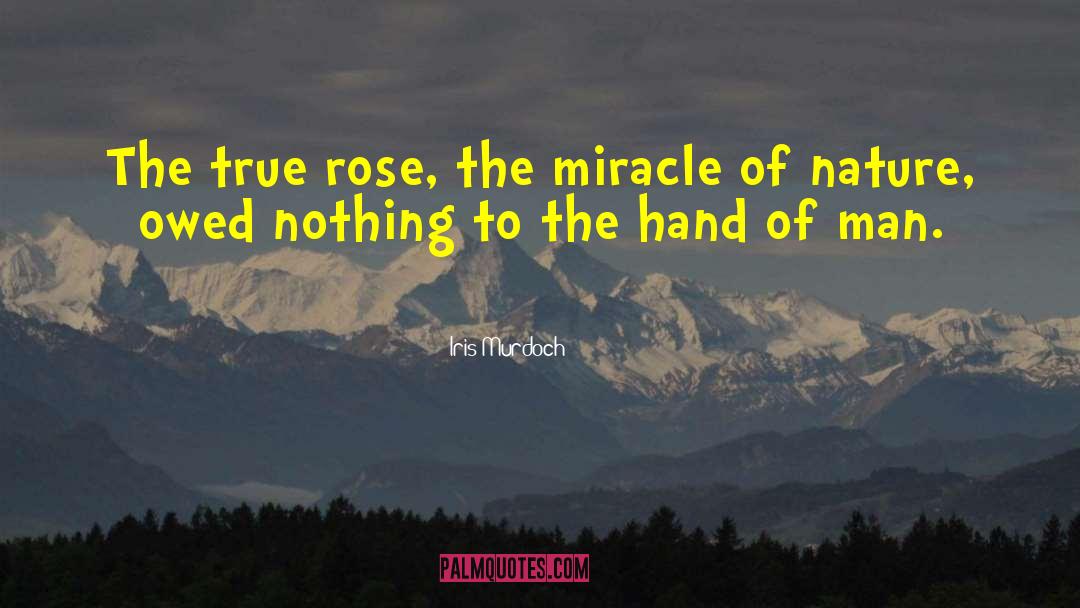 Romance Of The Rose quotes by Iris Murdoch