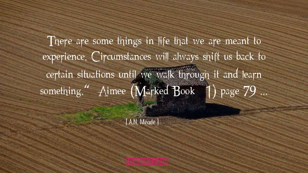 Romance Series quotes by A.N. Meade