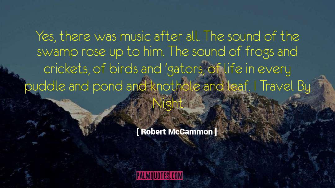 Romance Travel quotes by Robert McCammon