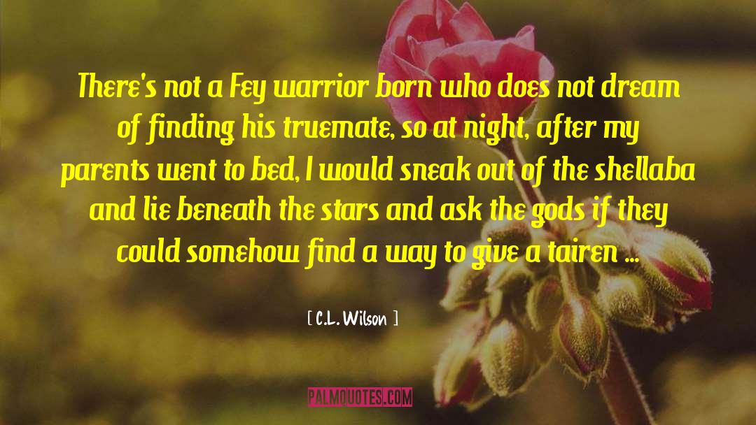 Romantic Fantasy quotes by C.L. Wilson