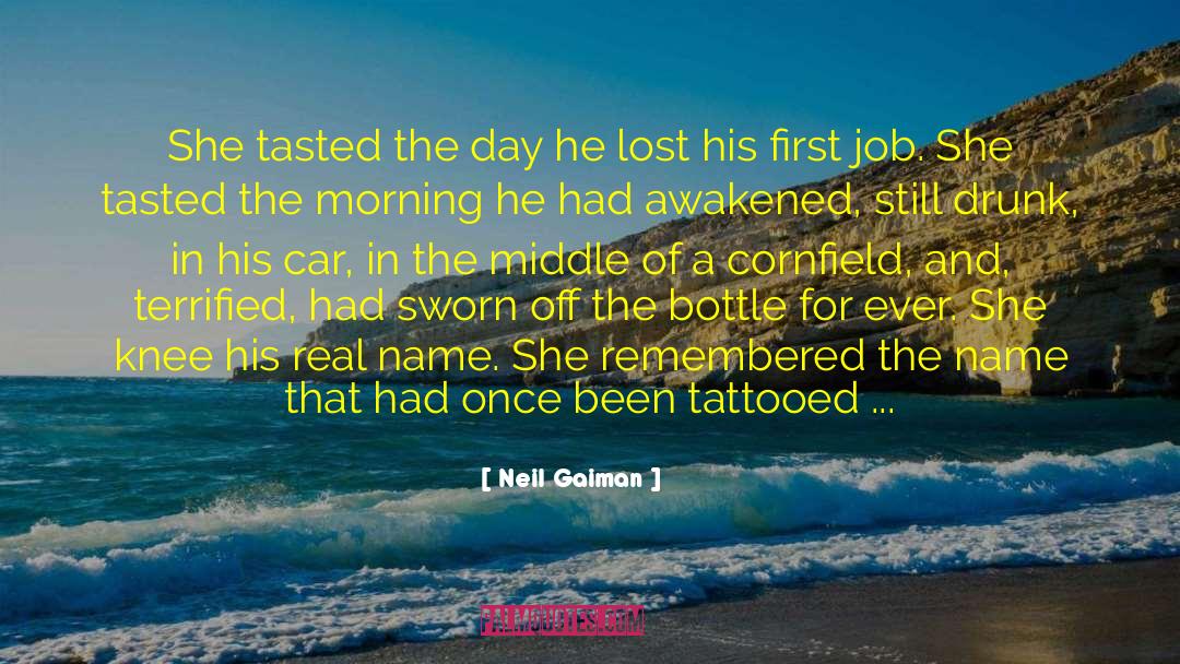 Romantic Fiction quotes by Neil Gaiman