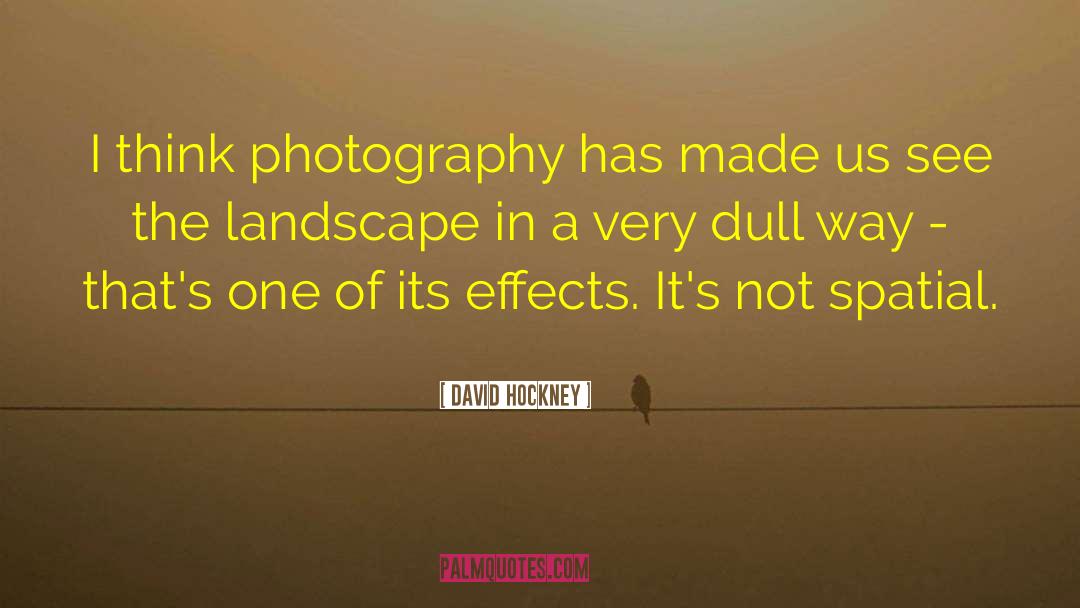 Romantic Landscape quotes by David Hockney