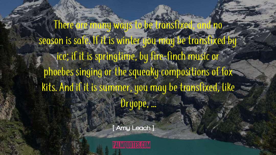 Romantic Music quotes by Amy Leach
