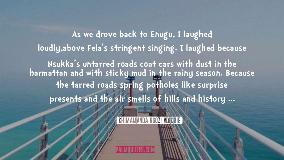Romantic Rainy Season quotes by Chimamanda Ngozi Adichie