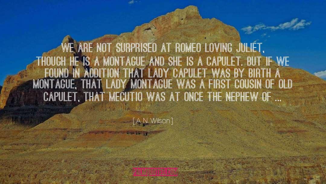 Romantic Romeo And Juliet quotes by A. N. Wilson