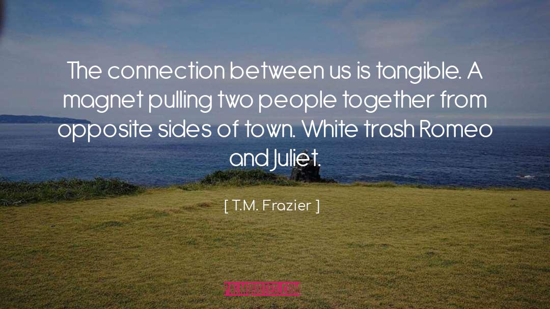 Romantic Romeo And Juliet quotes by T.M. Frazier