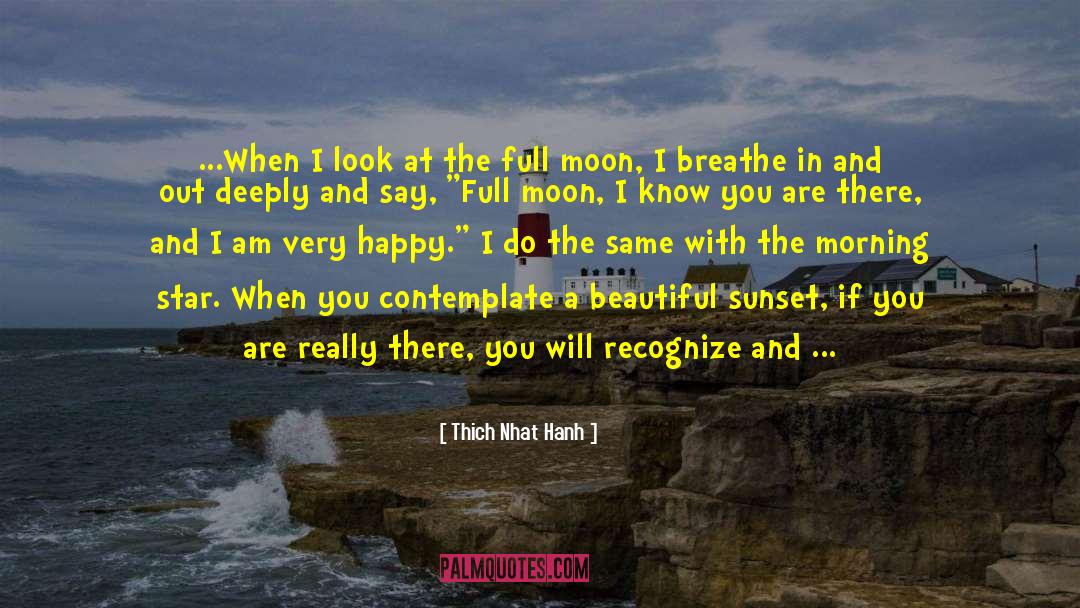 Romantic Star And Moon quotes by Thich Nhat Hanh