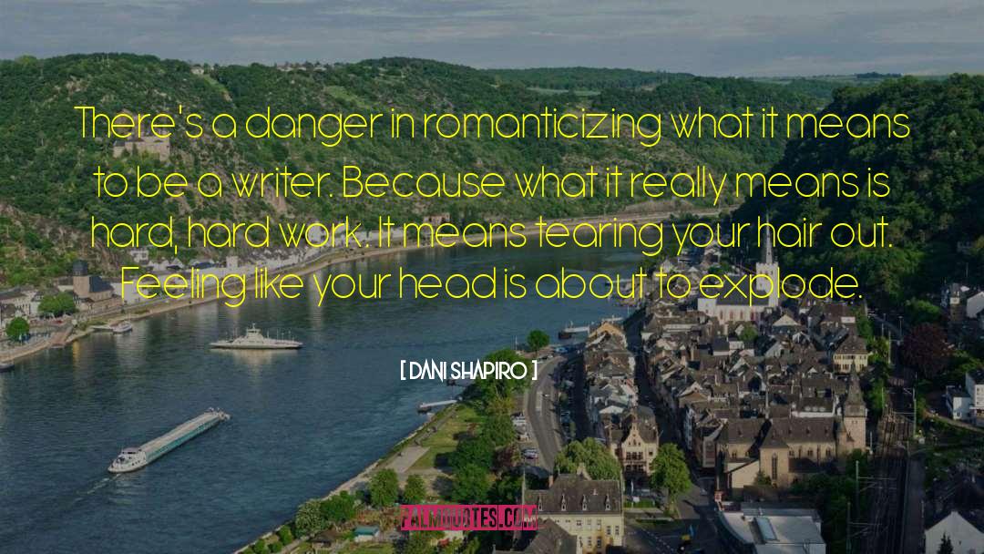 Romanticizing quotes by Dani Shapiro