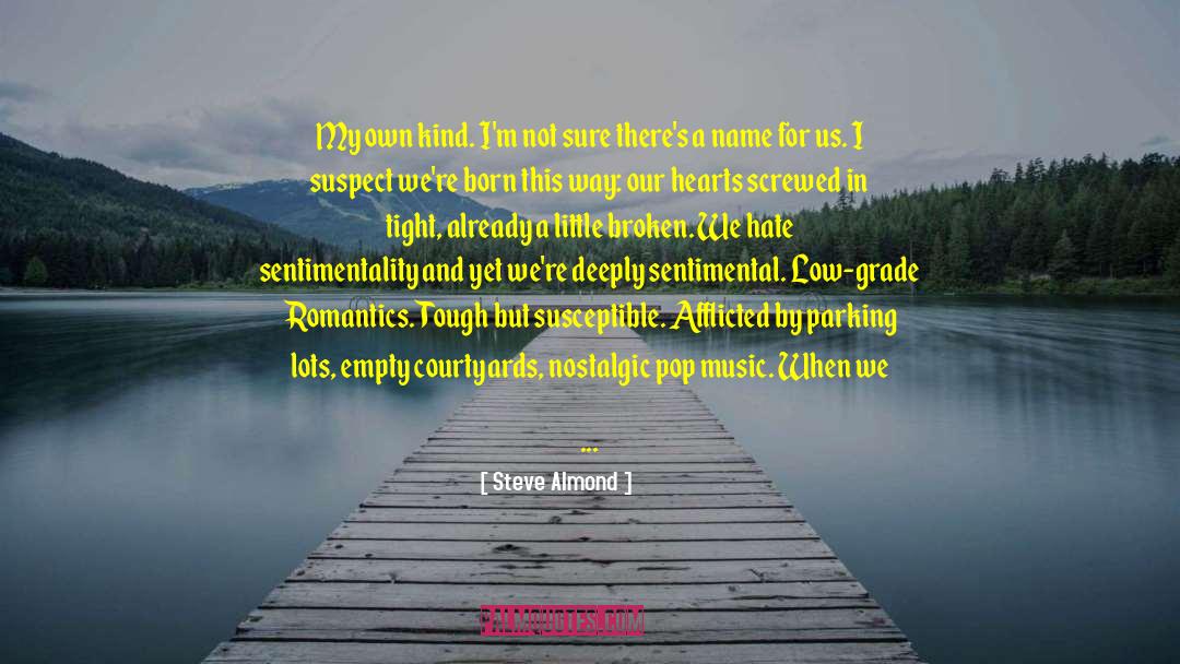 Romantics quotes by Steve Almond