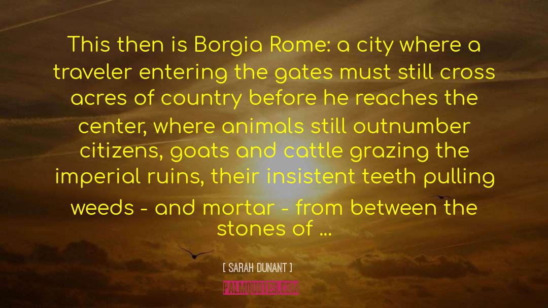 Rome And Rim Forever quotes by Sarah Dunant