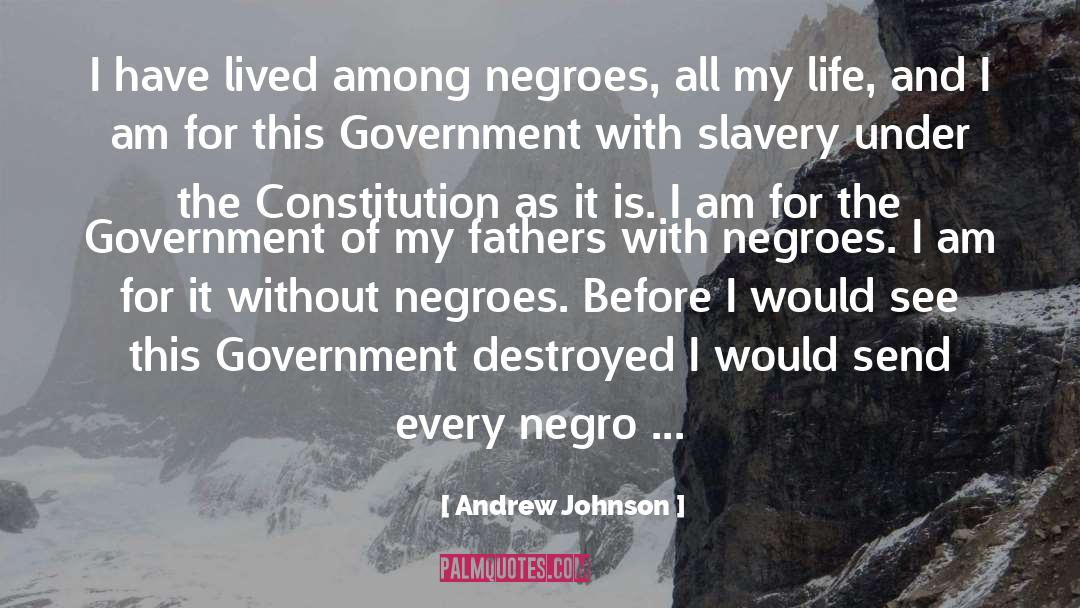 Rome Slavery quotes by Andrew Johnson