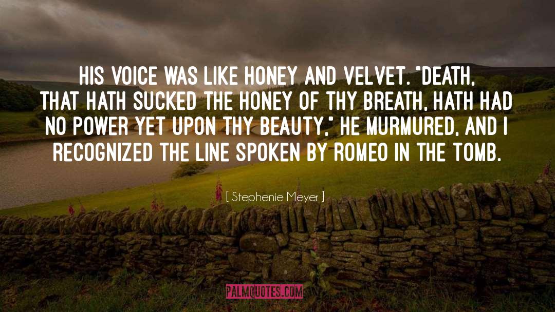 Romeo And Juliet Romeo quotes by Stephenie Meyer