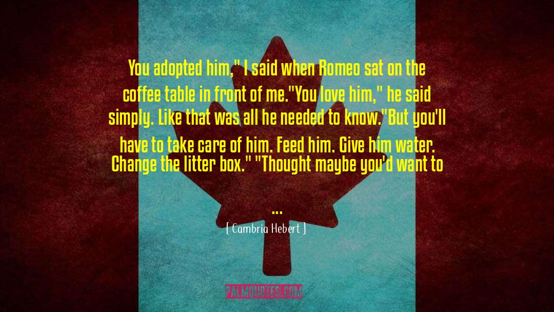 Romeo And Rimmel Forever quotes by Cambria Hebert