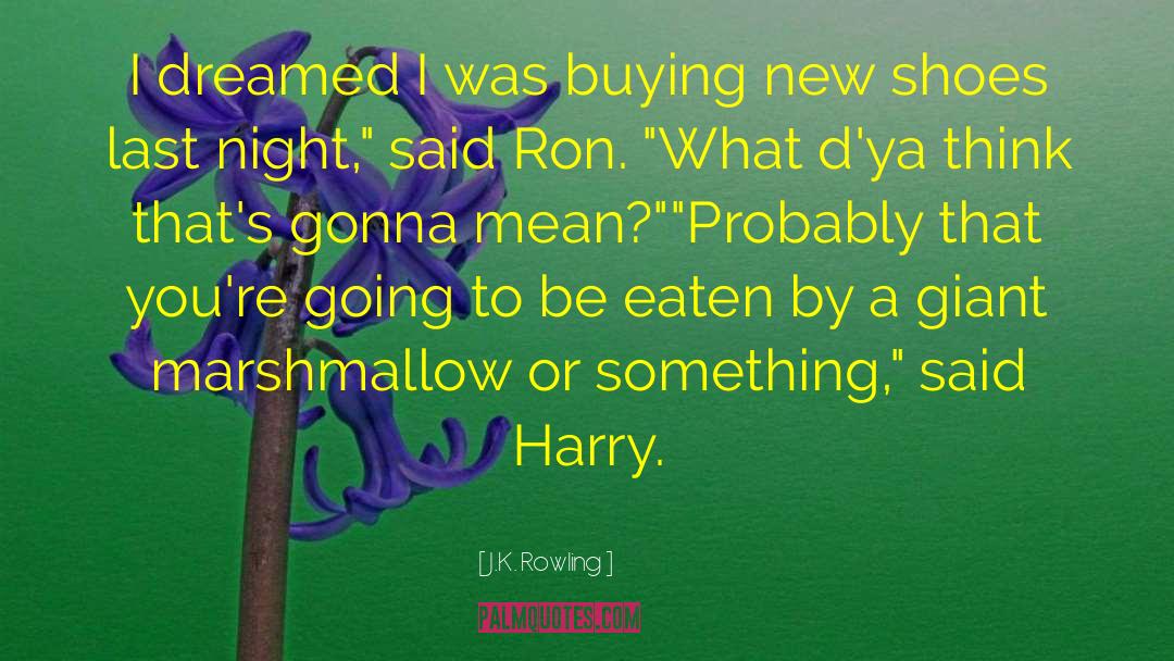 Ron Weasley quotes by J.K. Rowling