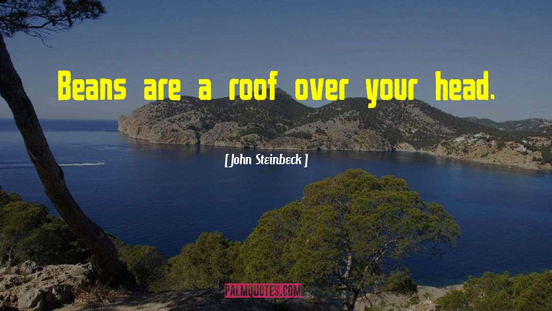 Roof Over Your Head quotes by John Steinbeck