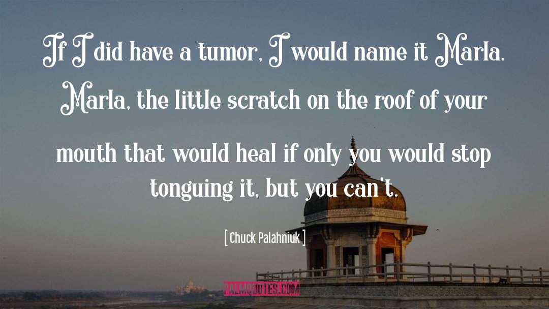 Roof quotes by Chuck Palahniuk