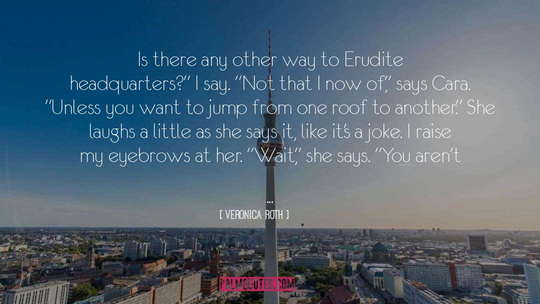 Roof quotes by Veronica Roth