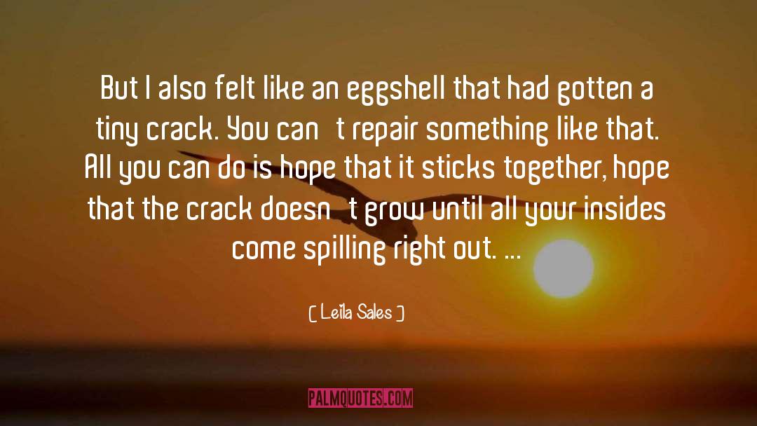 Roofing Repair Quote quotes by Leila Sales