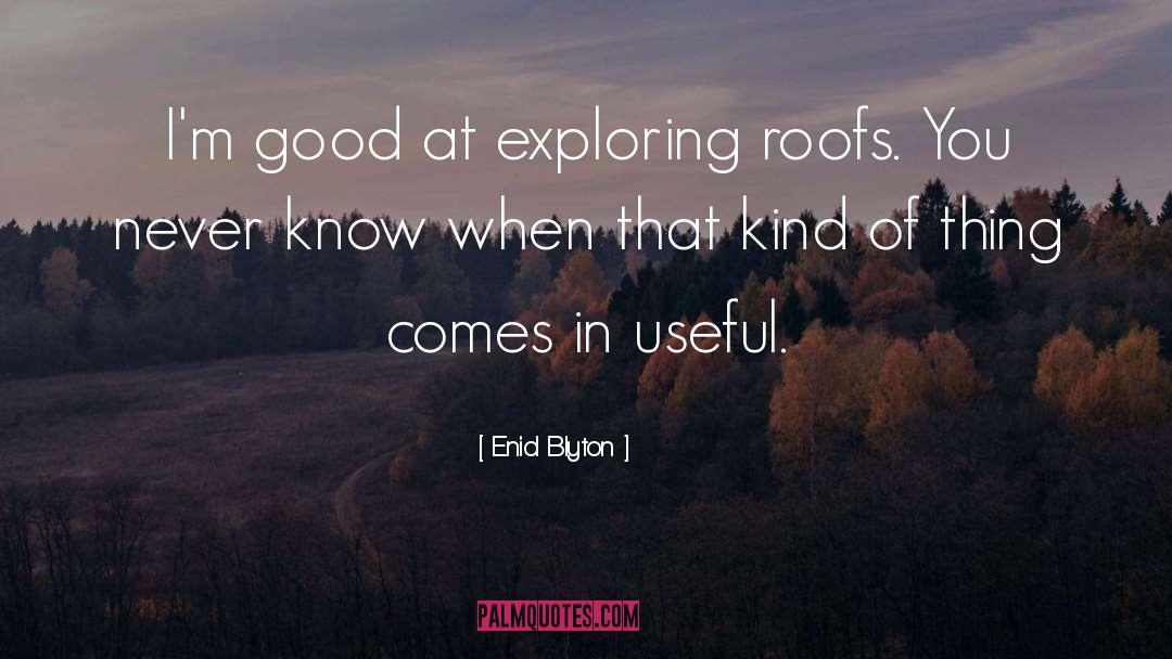 Roofs quotes by Enid Blyton