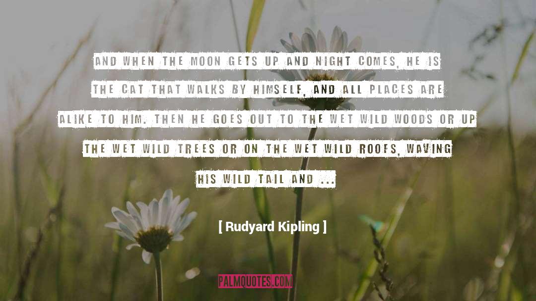 Roofs quotes by Rudyard Kipling