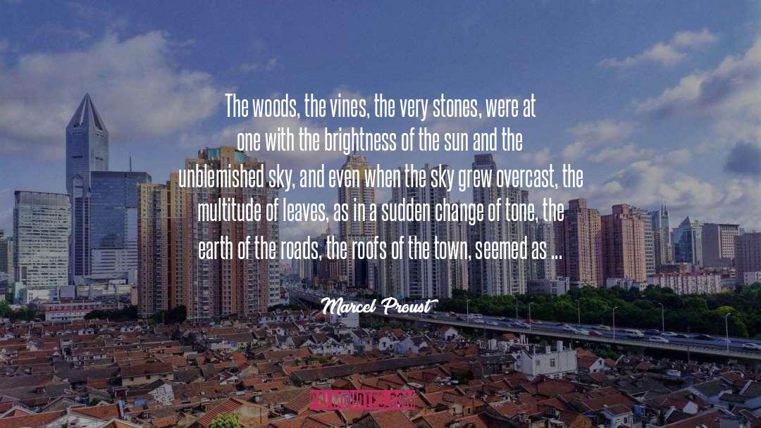 Roofs quotes by Marcel Proust