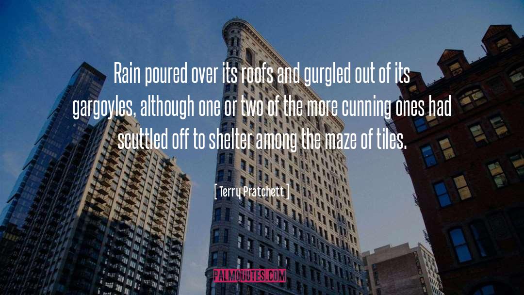 Roofs quotes by Terry Pratchett