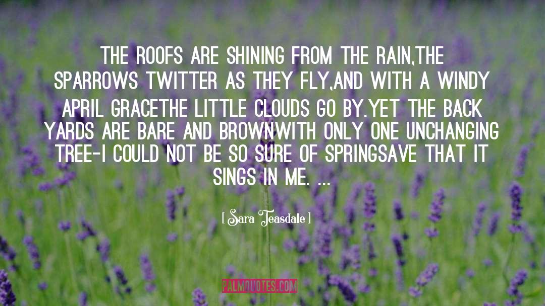 Roofs quotes by Sara Teasdale