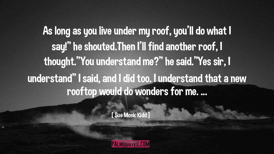 Rooftop quotes by Sue Monk Kidd