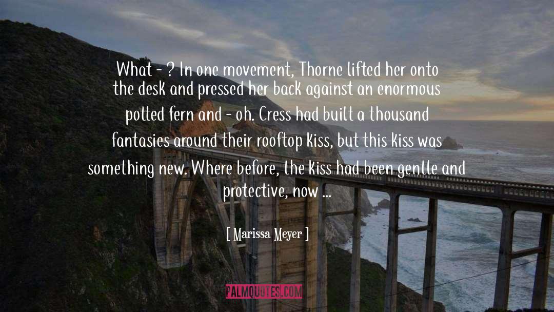 Rooftop quotes by Marissa Meyer