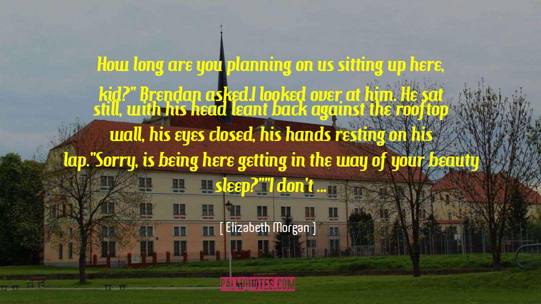 Rooftop quotes by Elizabeth Morgan