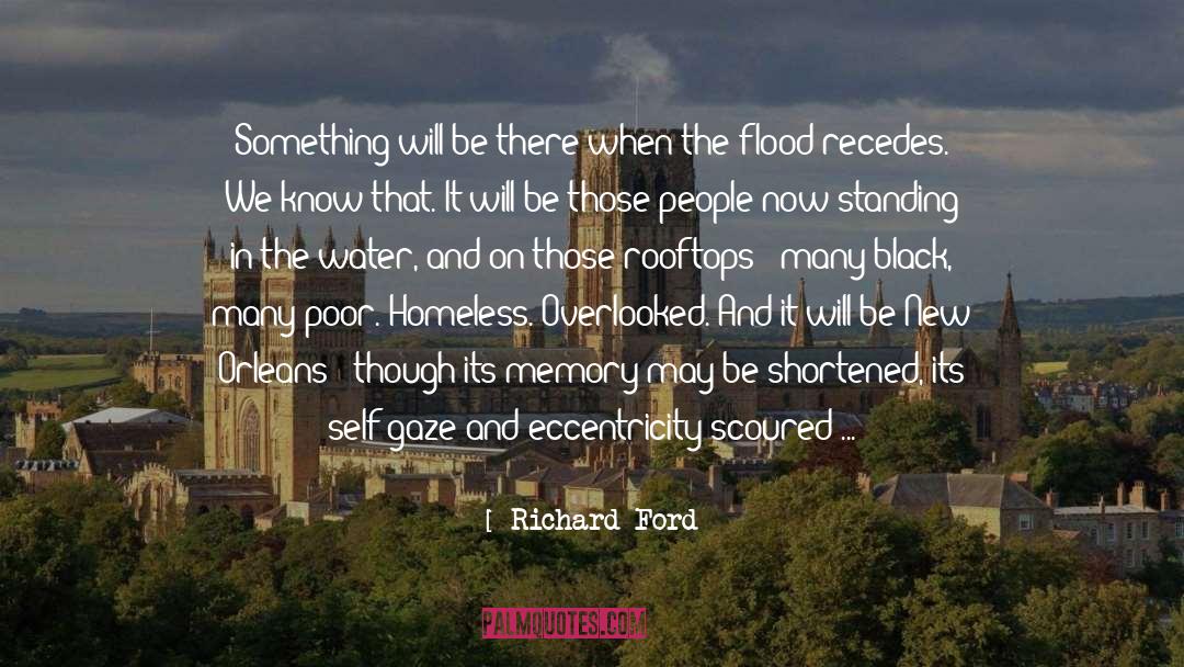 Rooftops quotes by Richard Ford