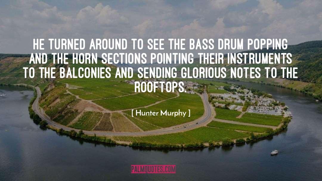 Rooftops quotes by Hunter Murphy