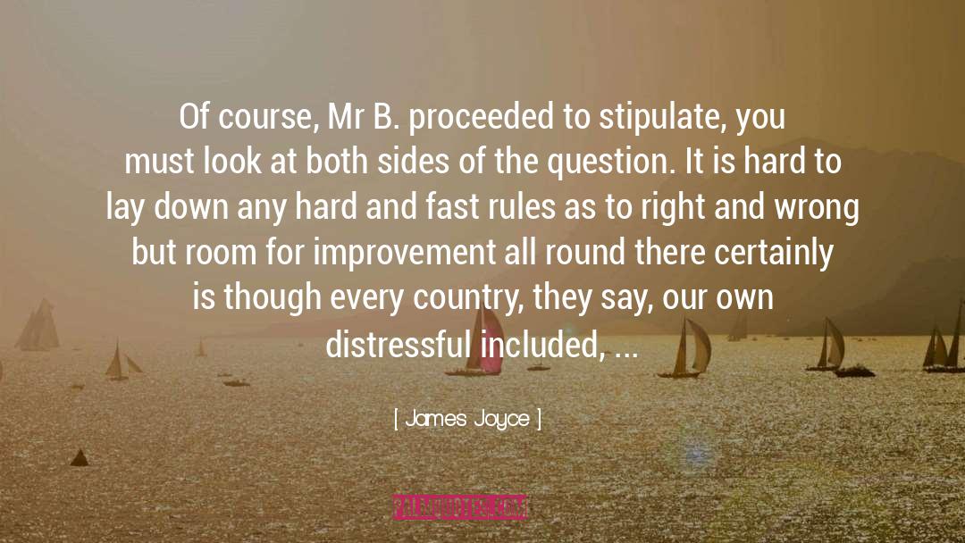 Room For Improvement quotes by James Joyce
