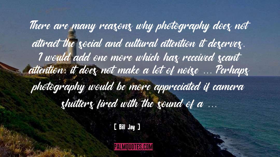 Roosh Photography quotes by Bill Jay