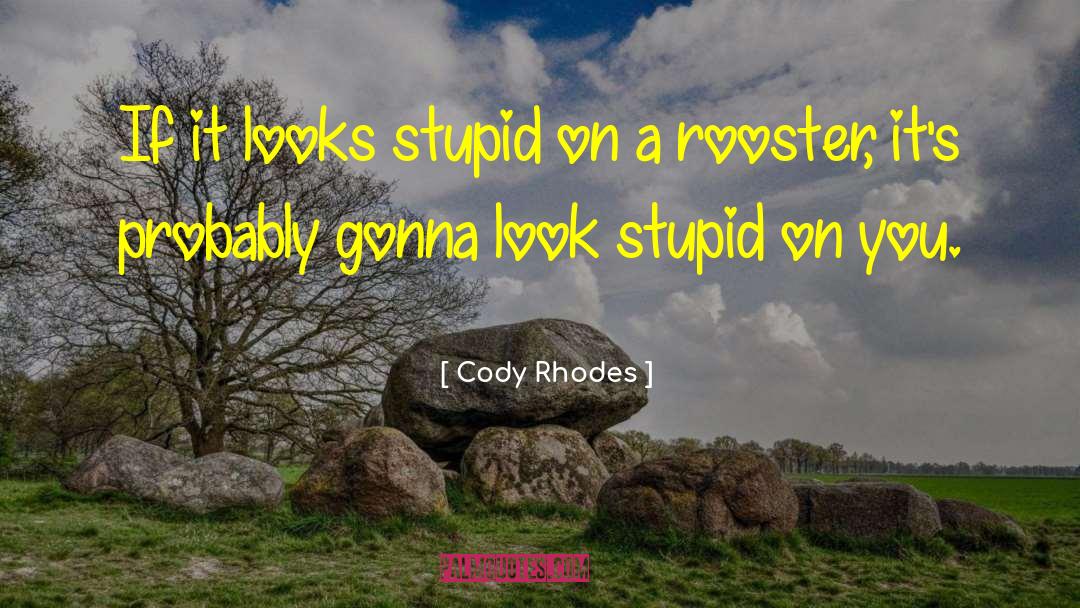 Rooster quotes by Cody Rhodes