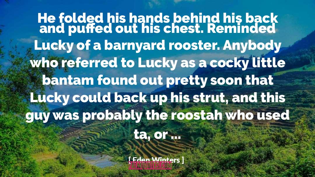 Rooster quotes by Eden Winters