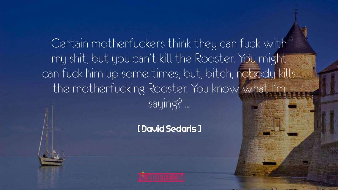 Rooster quotes by David Sedaris