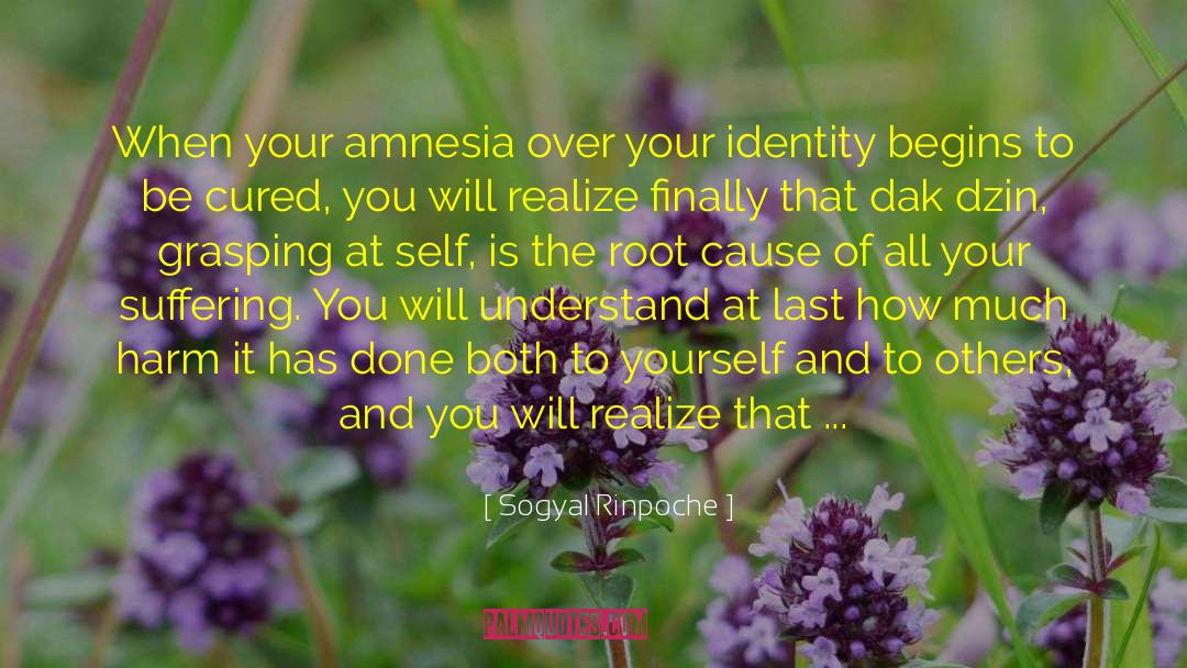 Root Cause quotes by Sogyal Rinpoche