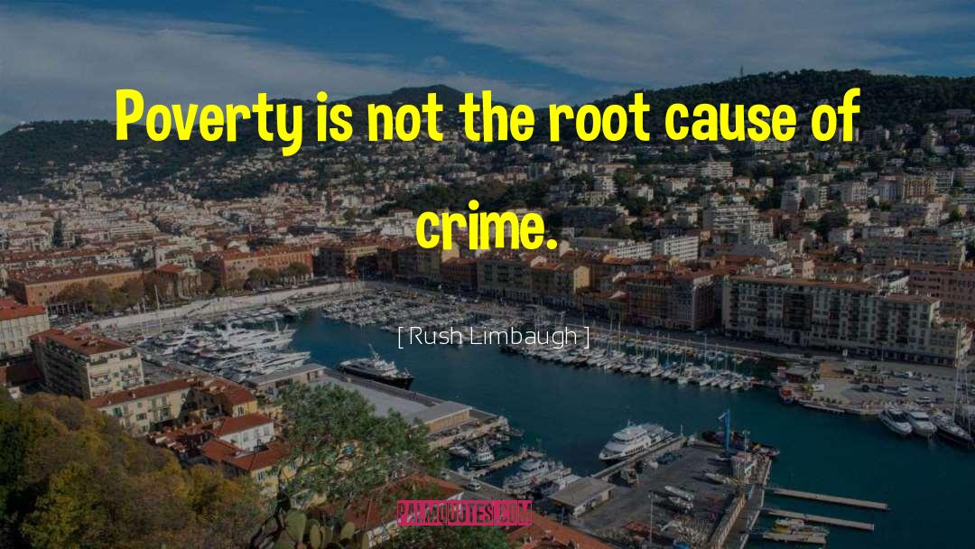 Root Cause quotes by Rush Limbaugh