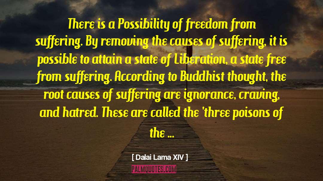 Root Causes quotes by Dalai Lama XIV