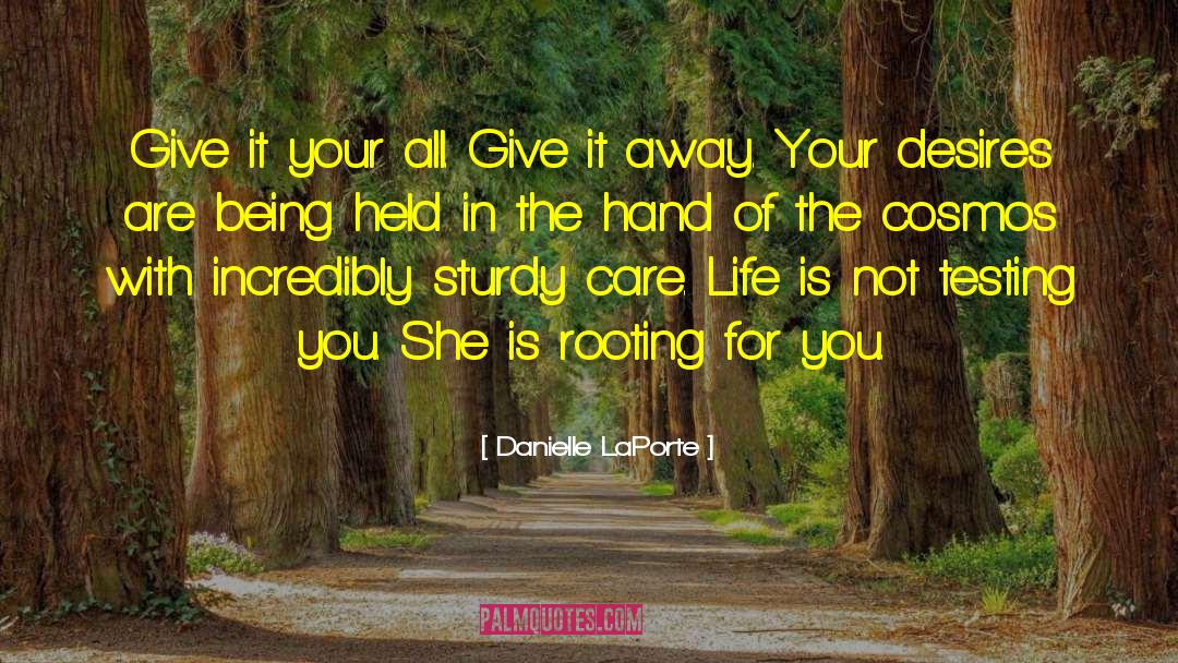 Rooting quotes by Danielle LaPorte