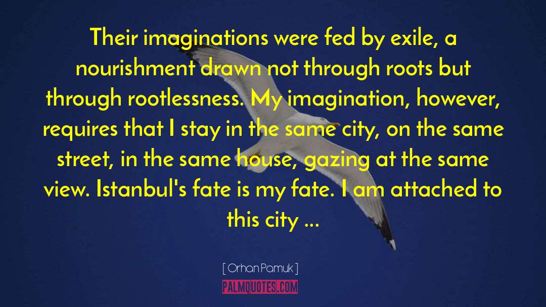 Rootlessness quotes by Orhan Pamuk