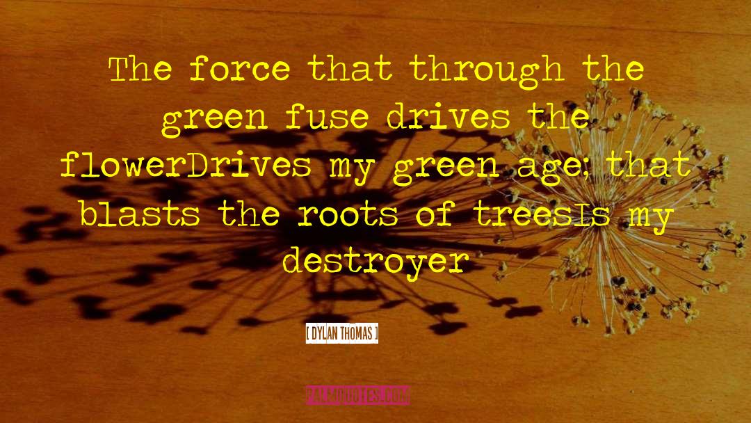 Roots Of My Obsession quotes by Dylan Thomas