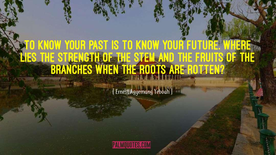 Roots Of Origin quotes by Ernest Agyemang Yeboah