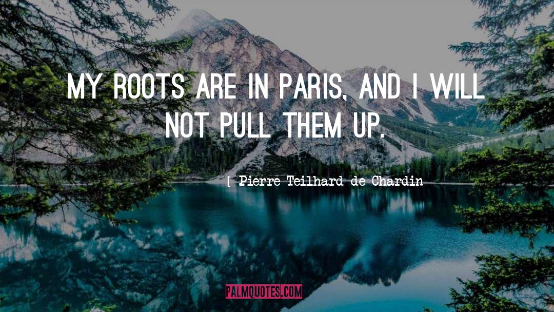 Roots quotes by Pierre Teilhard De Chardin