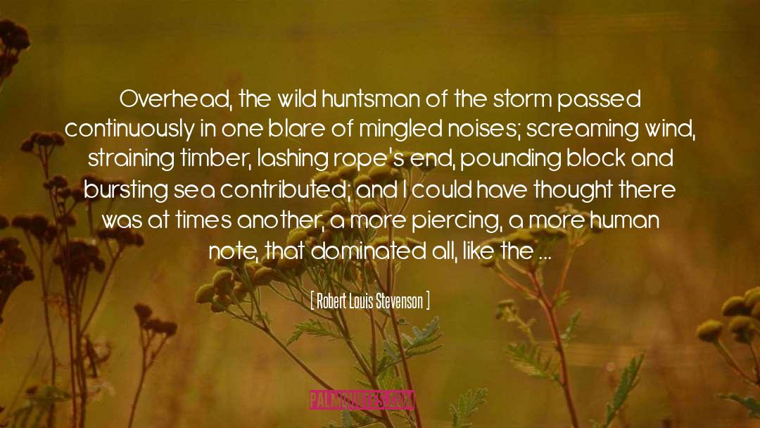 Ropes quotes by Robert Louis Stevenson