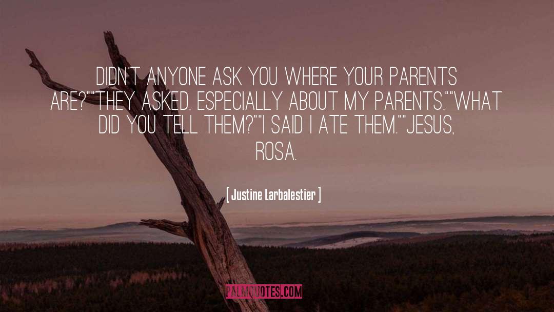 Rosa Hubberman quotes by Justine Larbalestier