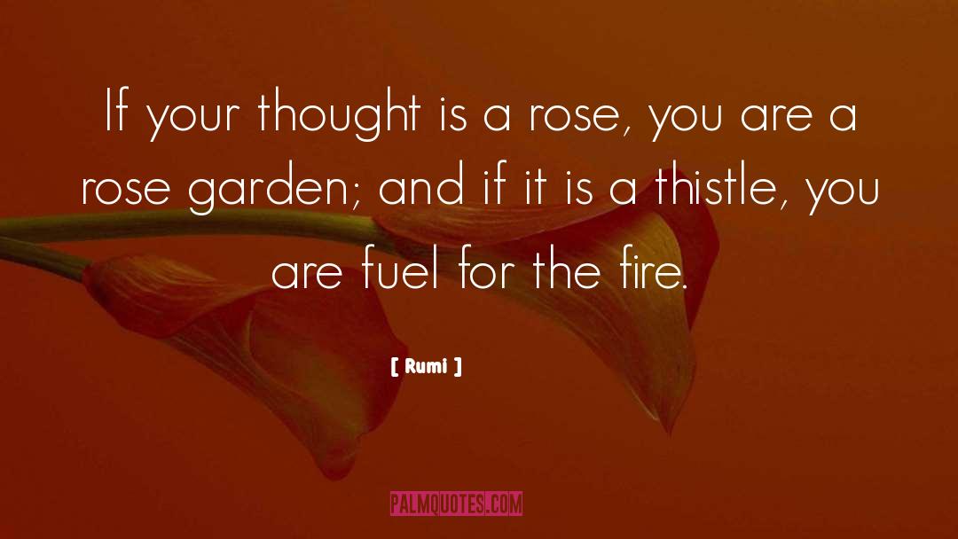 Rose And Rosie quotes by Rumi